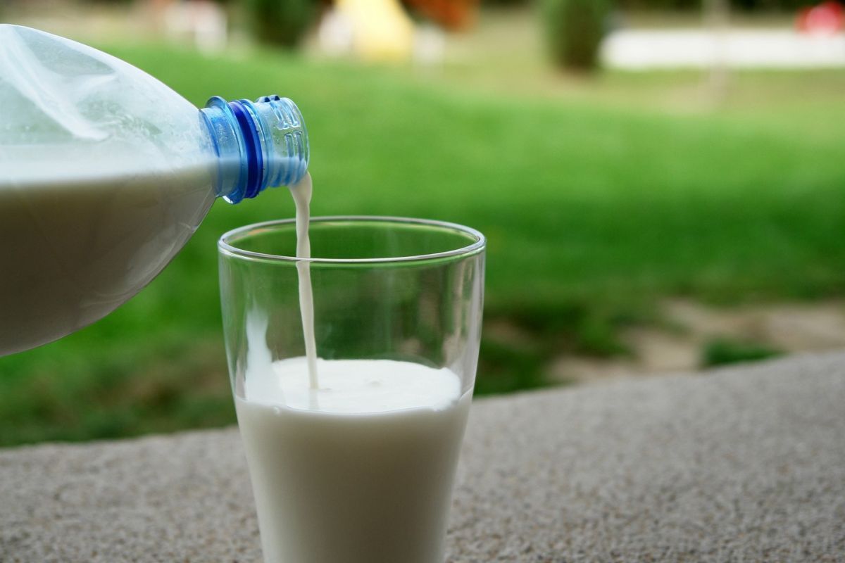 Хабаровчан предупреждают о фальсифицированной молочной продукции
