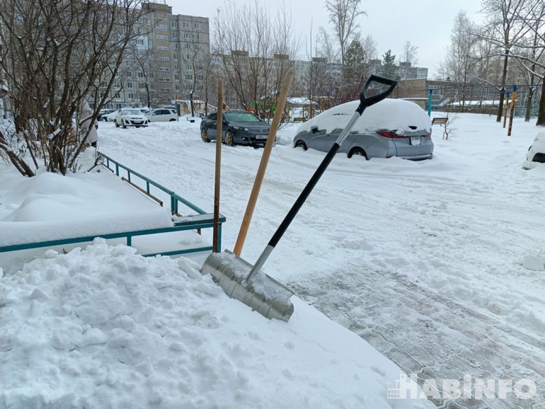 Хабаровск борется со снежным циклоном