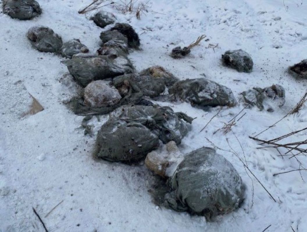 В Хабаровском крае ликвидирована незаконная свалка биологических отходов