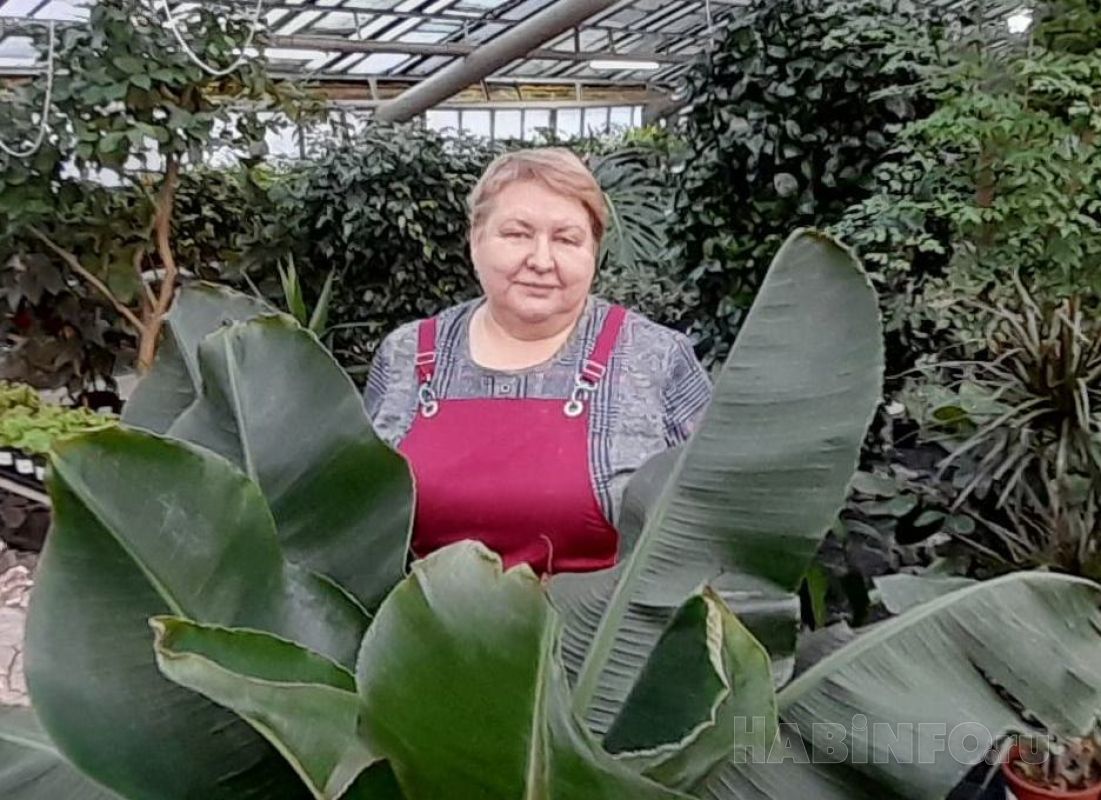 Цитрусовые культуры и тюльпаны выращивают в оранжерее Комсомольска-на-Амуре
