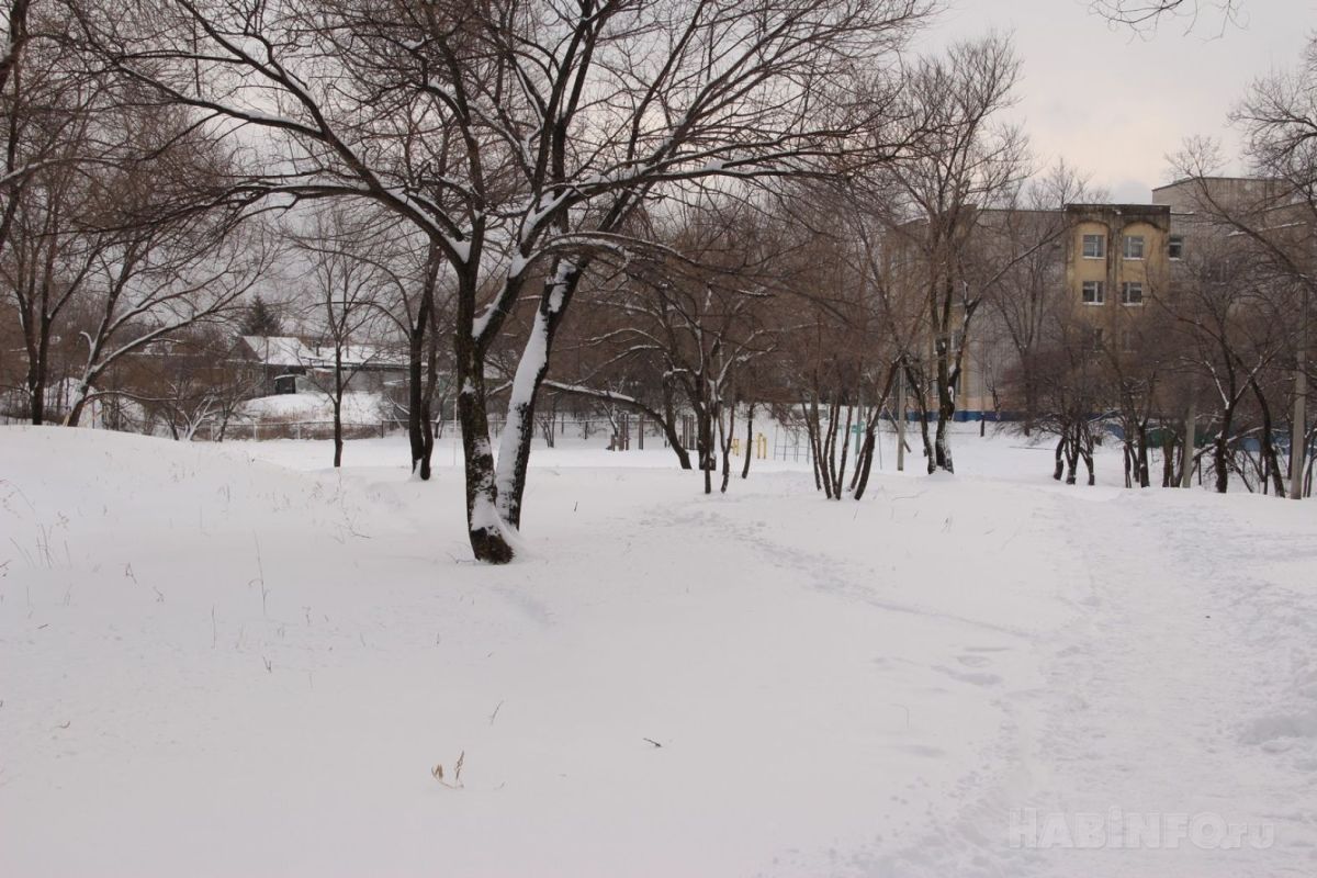 В Хабаровске пьяный мужчина напал на&nbsp;ребёнка