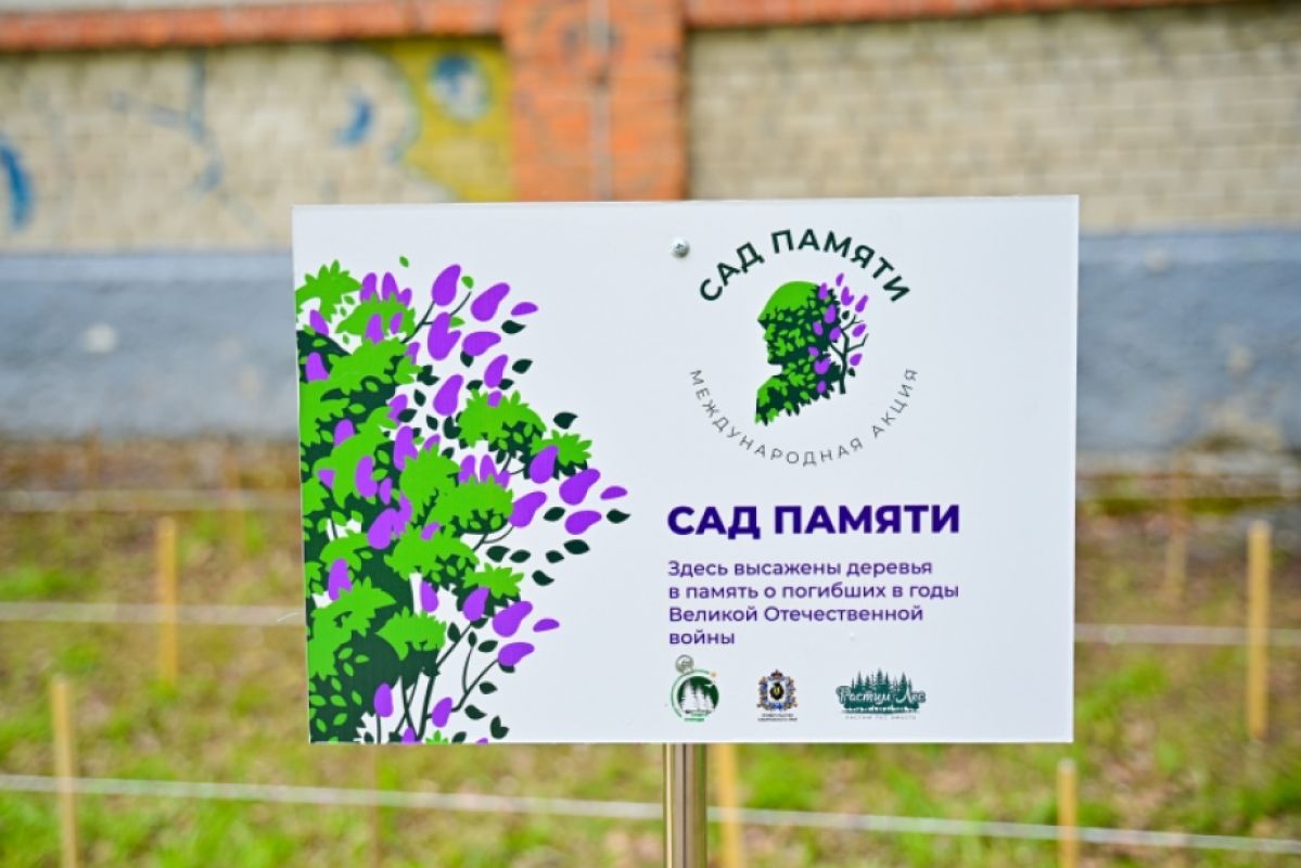 Около 1,5 тысячи деревьев высадят хабаровчане в&nbsp;рамках акции «Сад памяти»