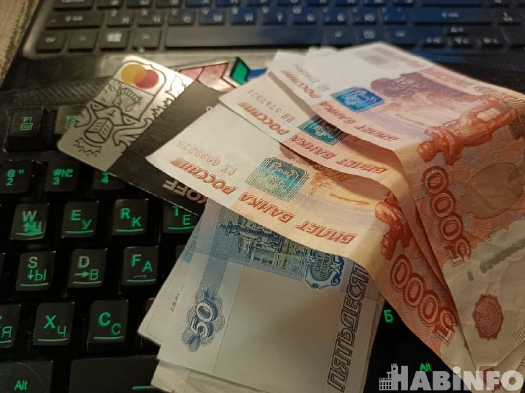 Жертвами интернет-преступлений за минувшую неделю стали 48 жителей Хабаровского края