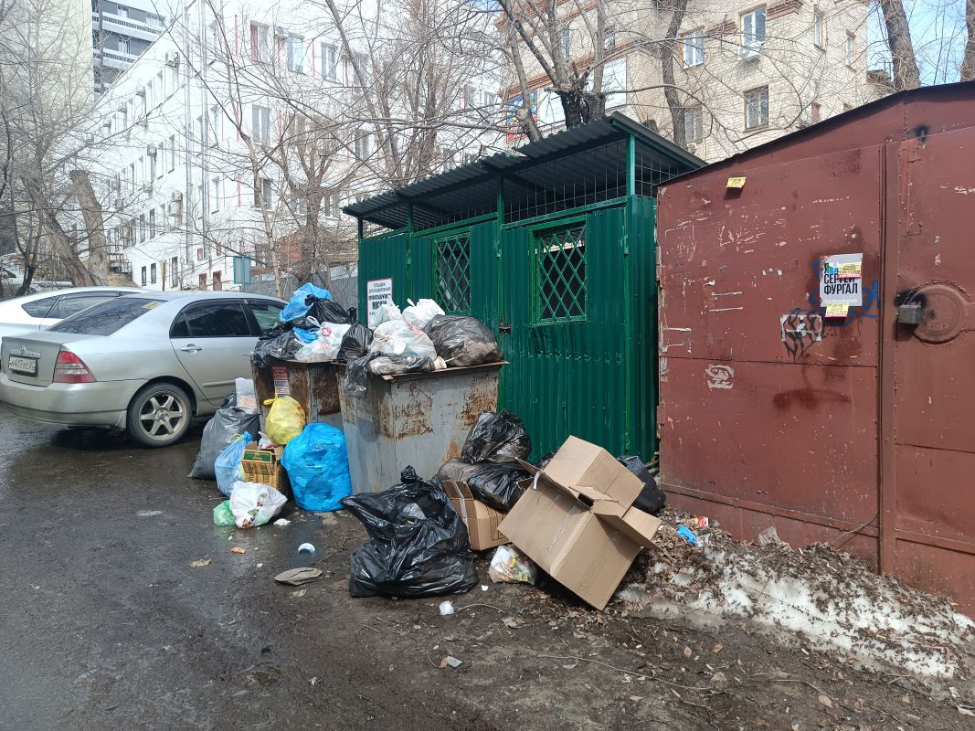 Для переработки мусора в Хабаровском крае не хватает инфраструктуры