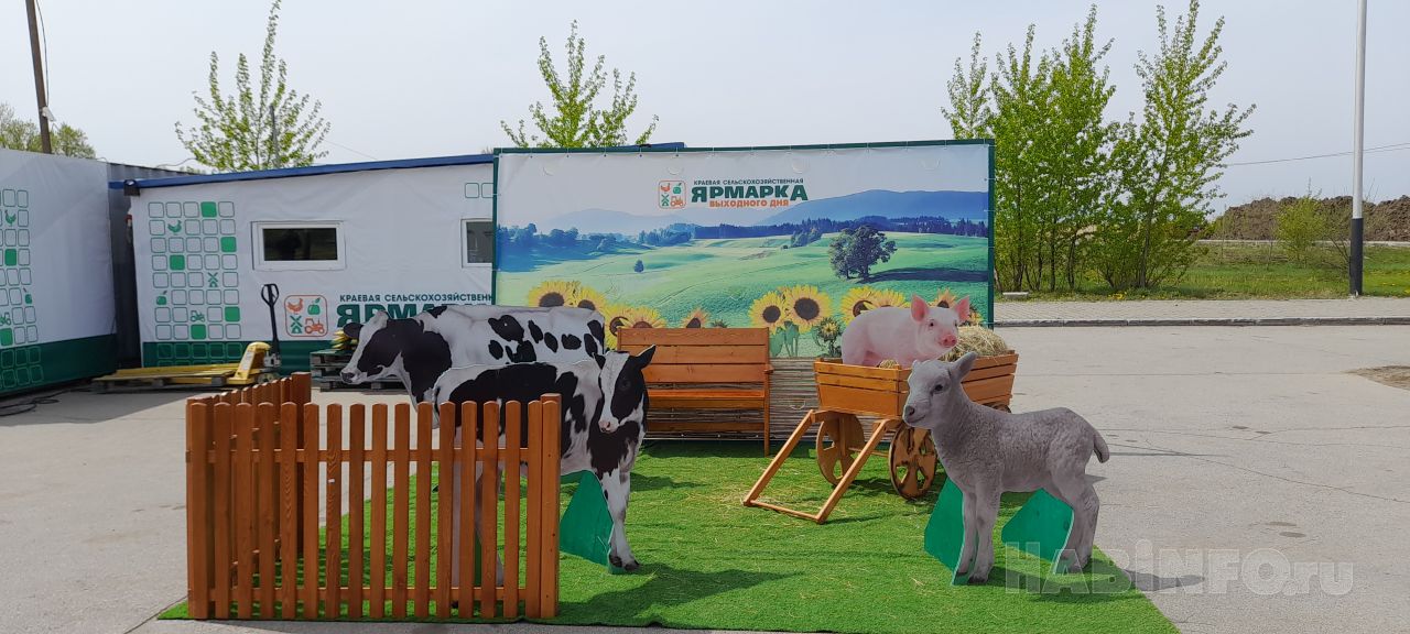 Хабаровская сельскохозяйственная ярмарка заработала вопреки непогоде