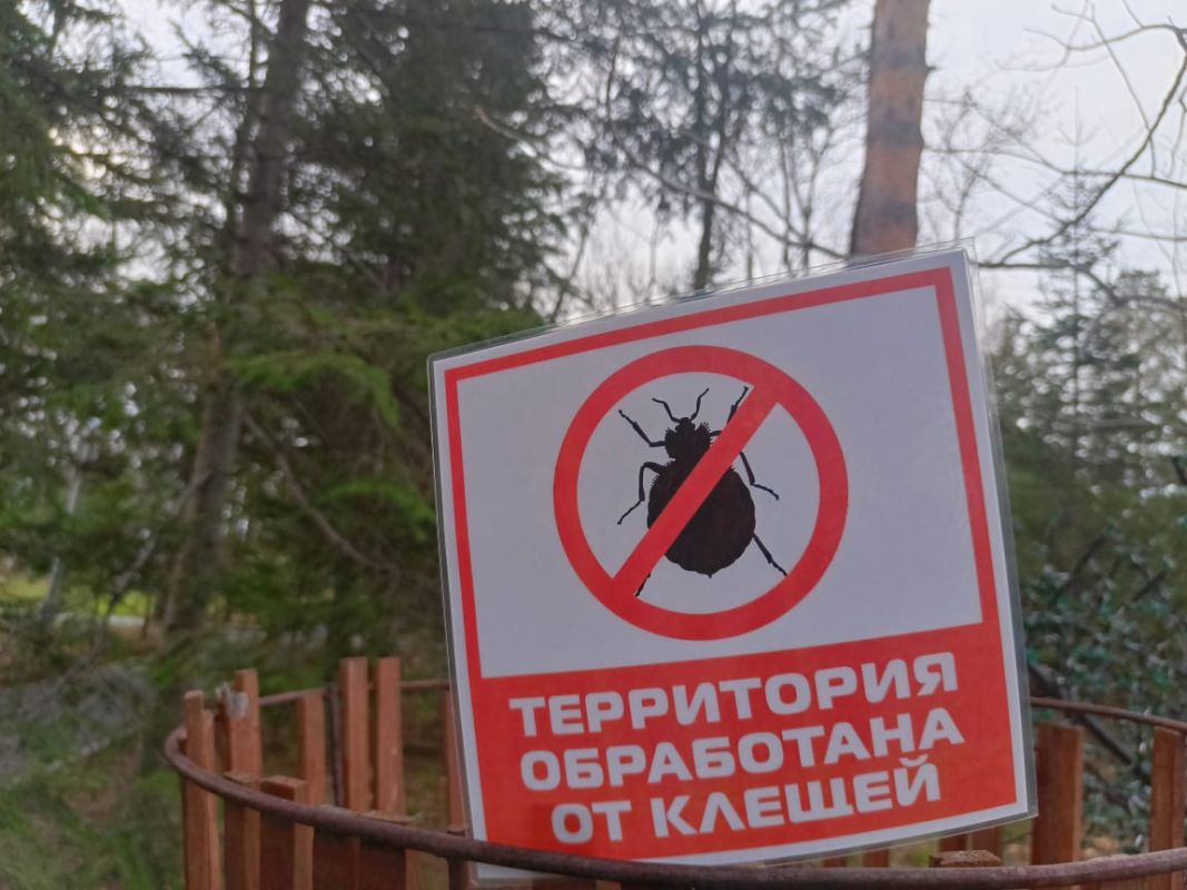 Более 900 человек пострадали от укусов клещей в Хабаровском крае