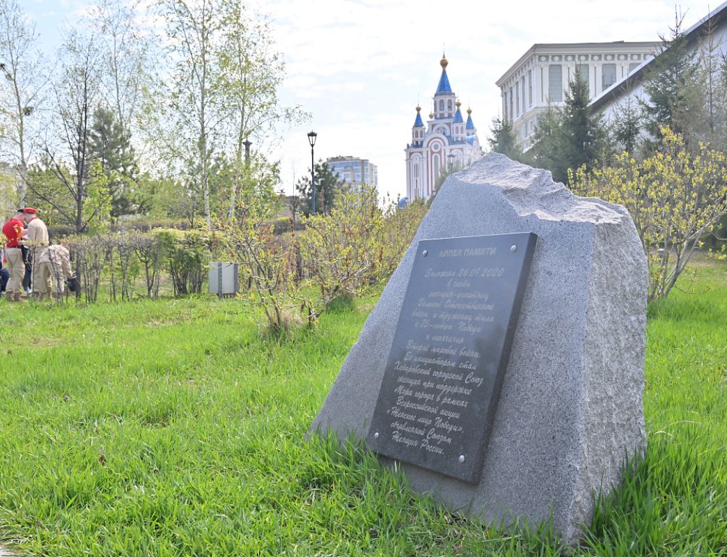 Клонированный саженец тополя из&nbsp;Волгограда, пережившего войну, высадили в&nbsp;Хабаровске
