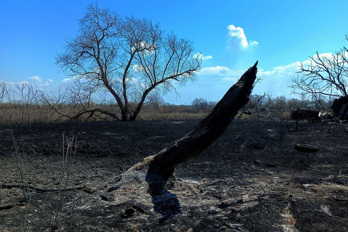 Восемь дач сгорело в Комсомольске-на-Амуре из-за палов сухой травы