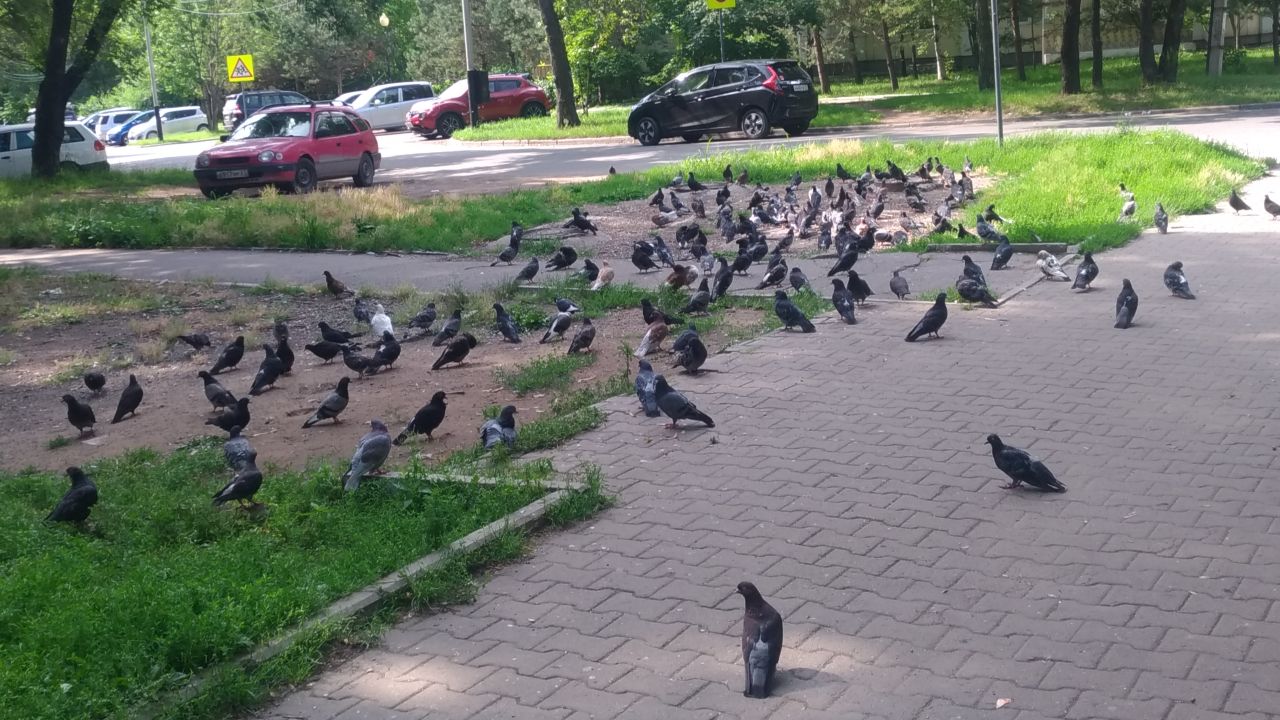 Магнитные бури, радиационный фон и пробки в Хабаровске 14 мая