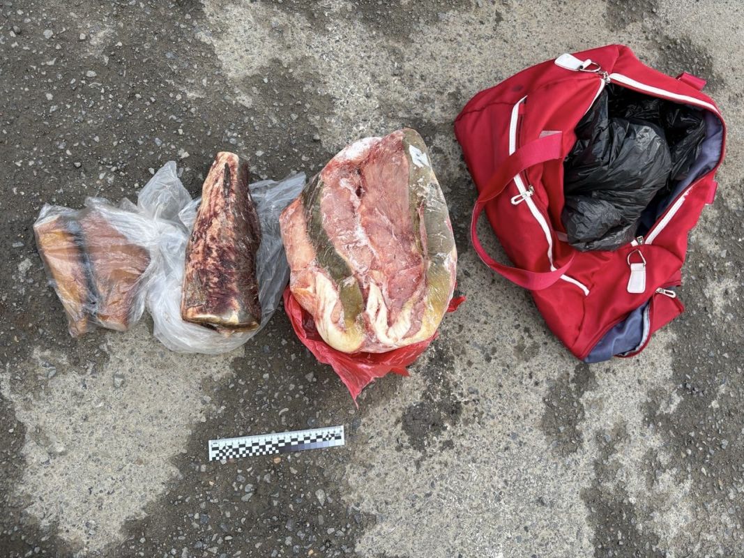Полицейские нашли краснокнижную рыбу у&nbsp;комсомольчанина&nbsp;