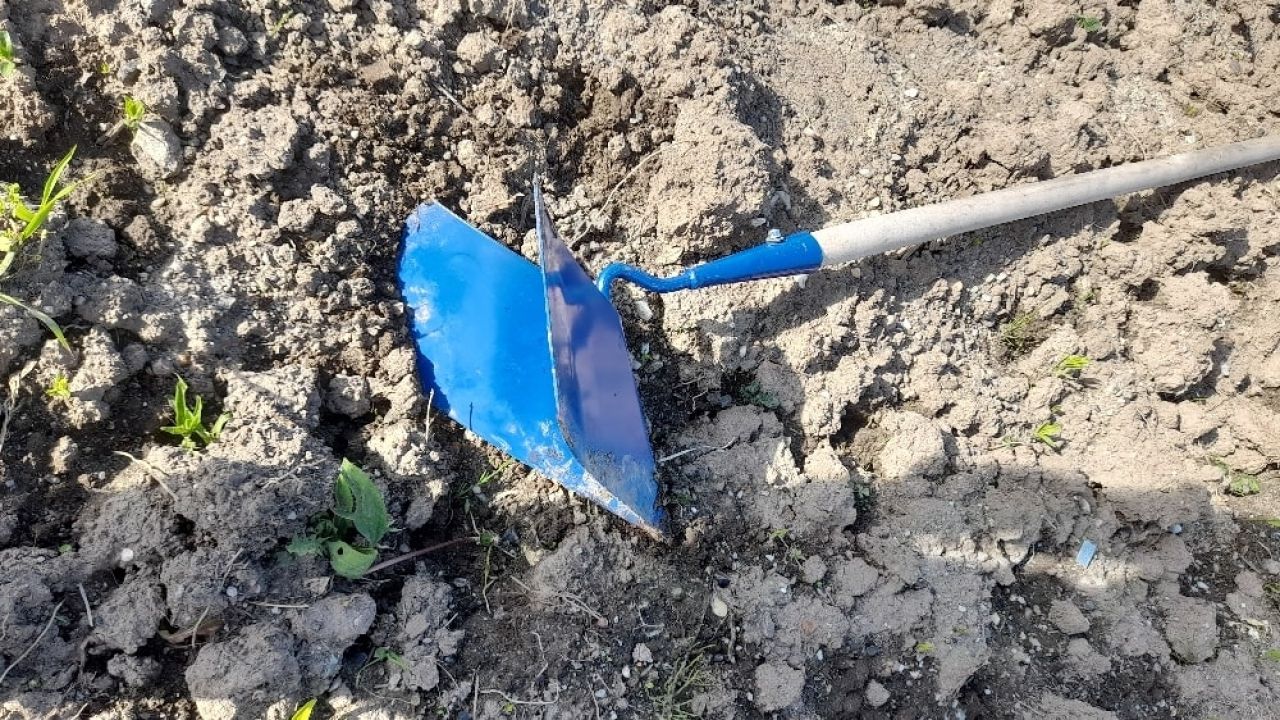 Хабаровские дачники выбирают бороздовик вместо тяпки