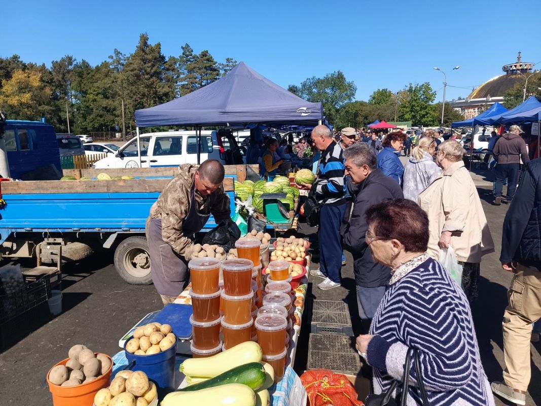 Вчера в огороде — сегодня на столе: как устроена фермерская ярмарка в Хабаровске