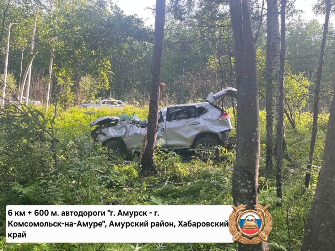 Водитель съехал в&nbsp;кювет и&nbsp;врезался в&nbsp;дерево на&nbsp;трассе Амурск — Комсомольск-на-Амуре