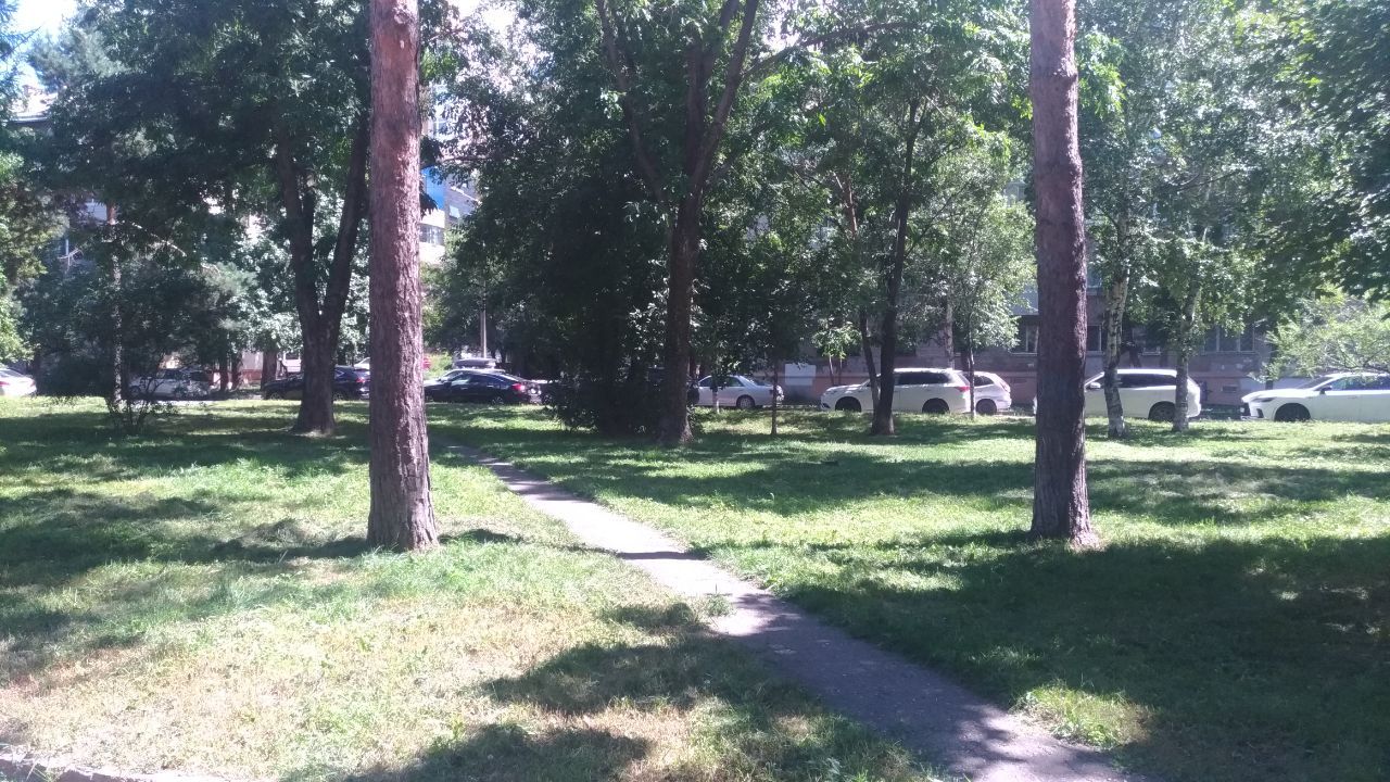 Магнитные бури, радиационный фон и&nbsp;пробки в&nbsp;Хабаровске 10 августа