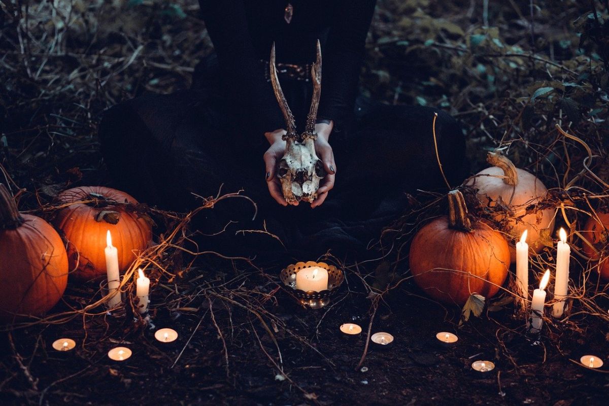 Ужастики на хэллоуин: от расчленёнки до сказок про ведьм