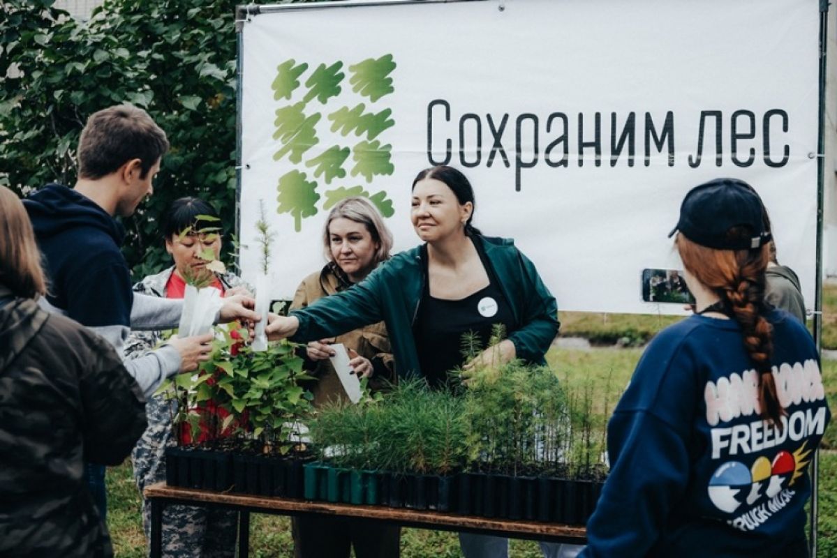 Более 300 деревьев высадили в&nbsp;Хабаровском крае в&nbsp;рамках акции «Сохраним лес»