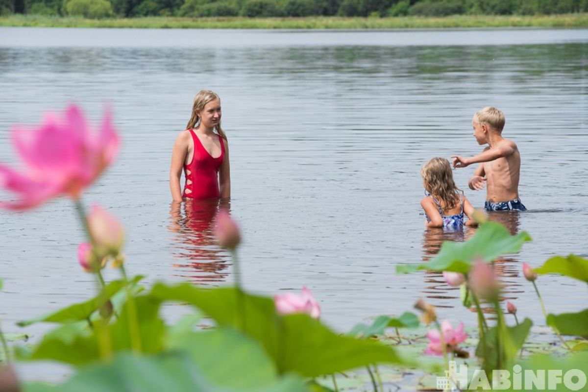 В погоне за лотосами: хабаровчане атаковали озеро с краснокнижными растениями