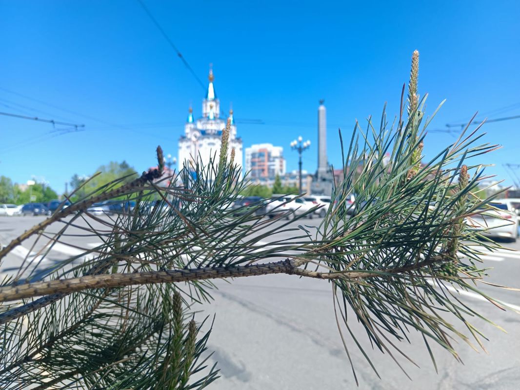 Новогодние каникулы в&nbsp;жителей Хабаровского края продлятся 12 дней
