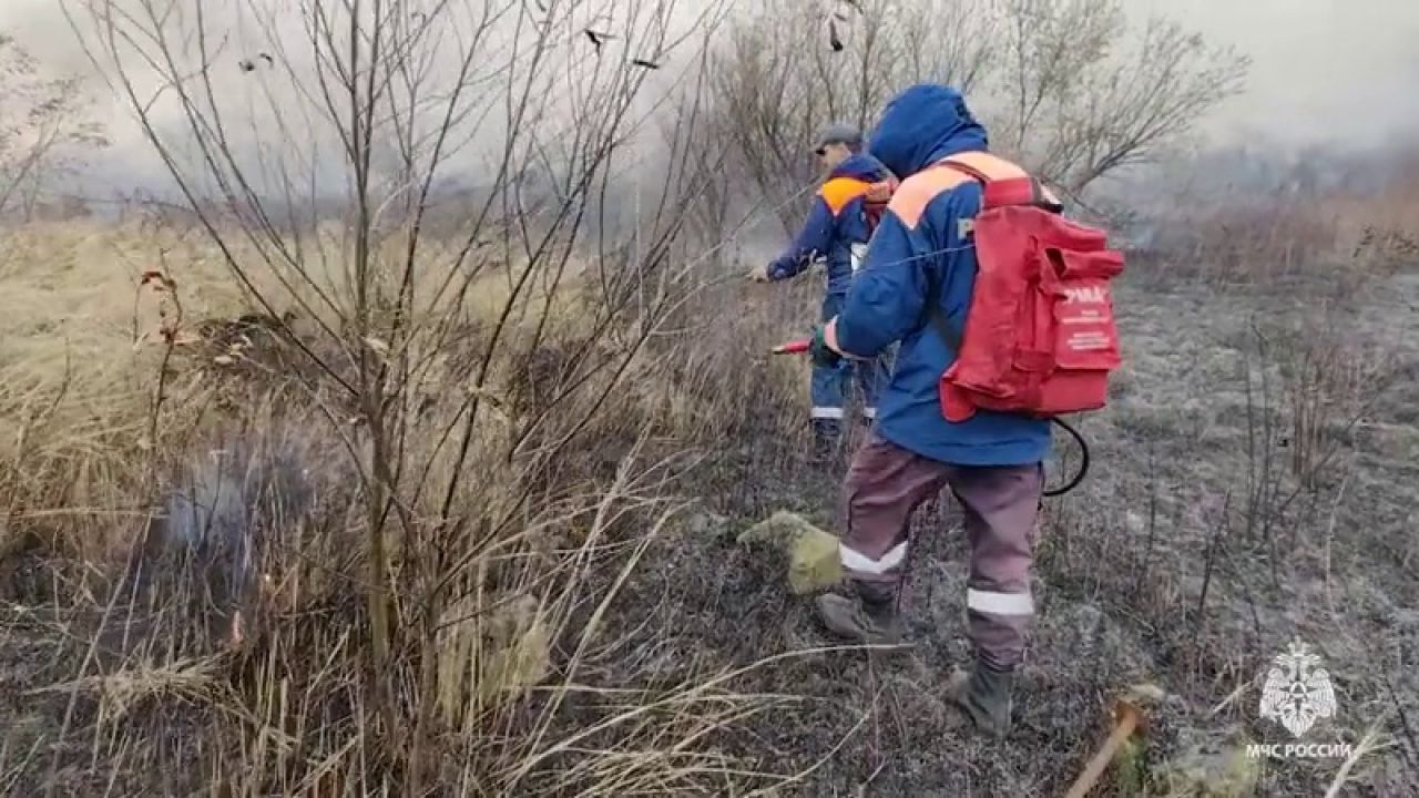 Спасатели борются с&nbsp;природными пожарами на&nbsp;острове Дачный в&nbsp;Хабаровске