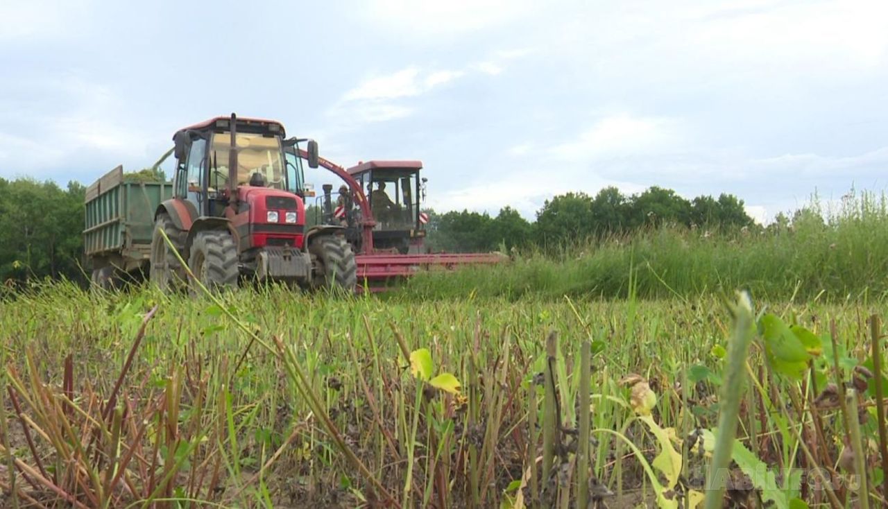 Жителям Хабаровского края положена доплата за работу в сельском хозяйстве