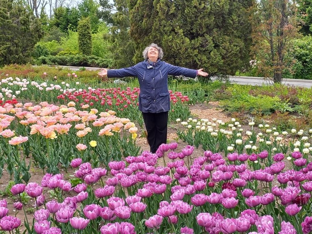 Тюльпановый рай в Ботаническом саду Владивостока