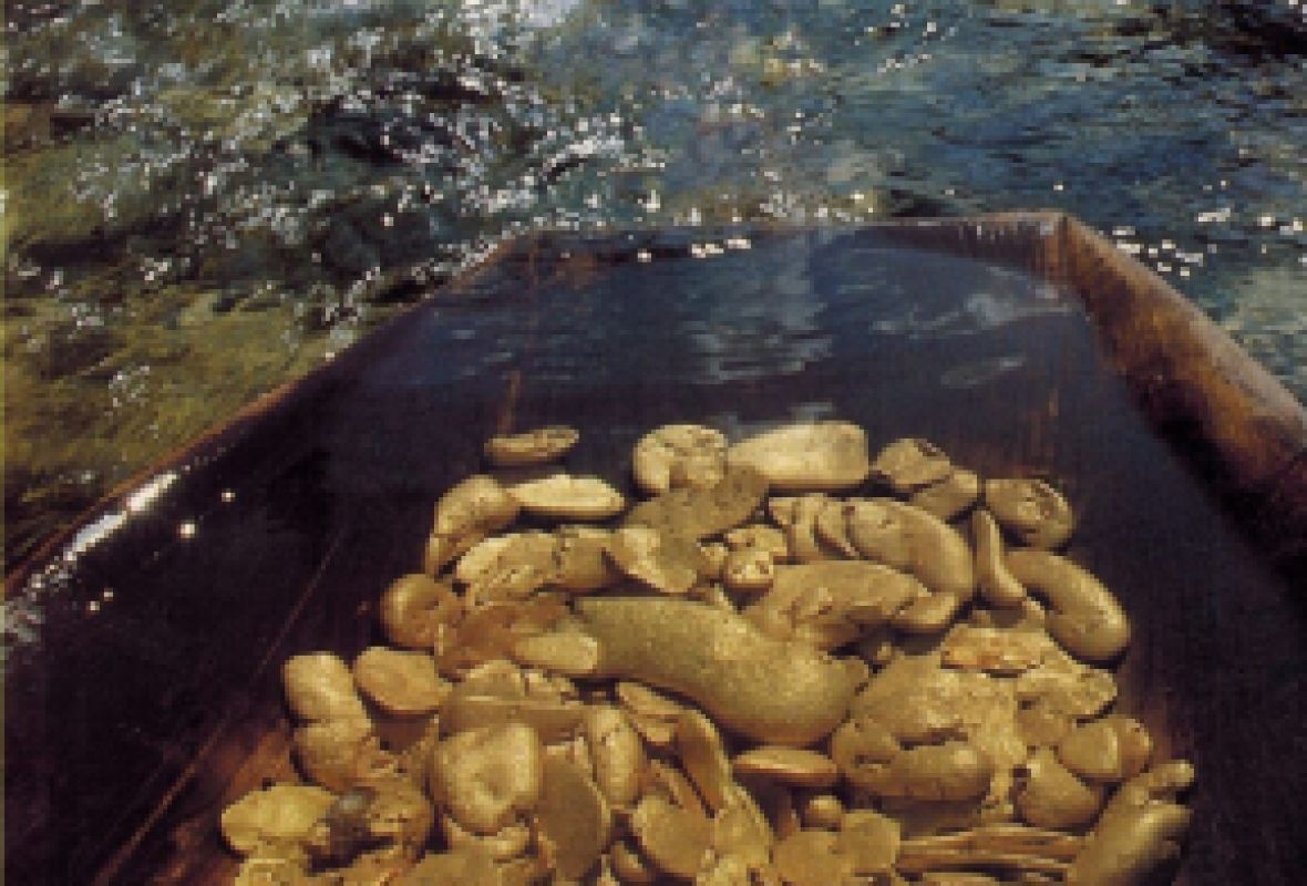 Добывающие предприятия перечислили в&nbsp;бюджет Хабаровского края свыше 26 млрд рублей