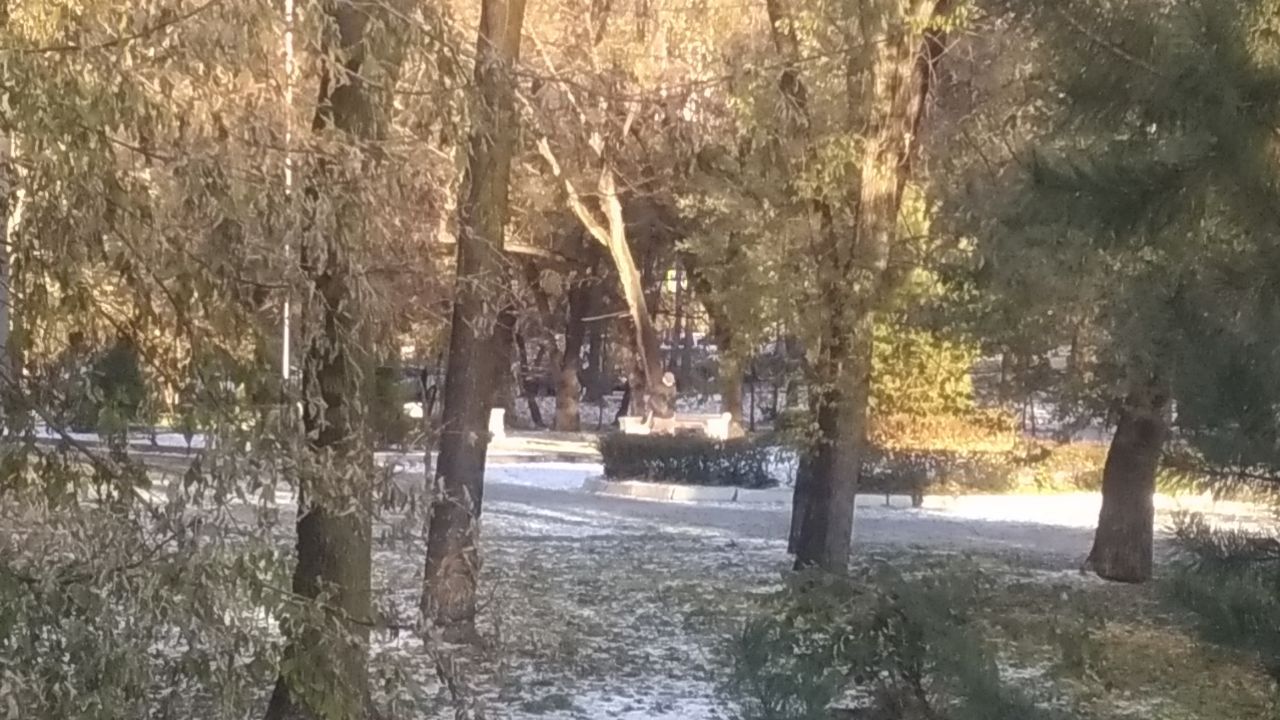 Магнитные бури, радиационный фон и пробки в Хабаровске 31 октября