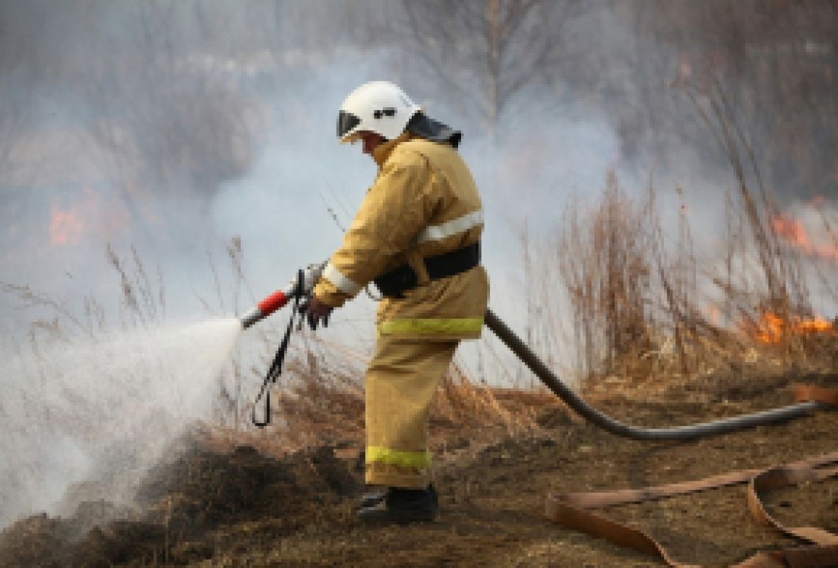 Более 900 ландшафтных пожаров потушено в Хабаровском крае с начала года