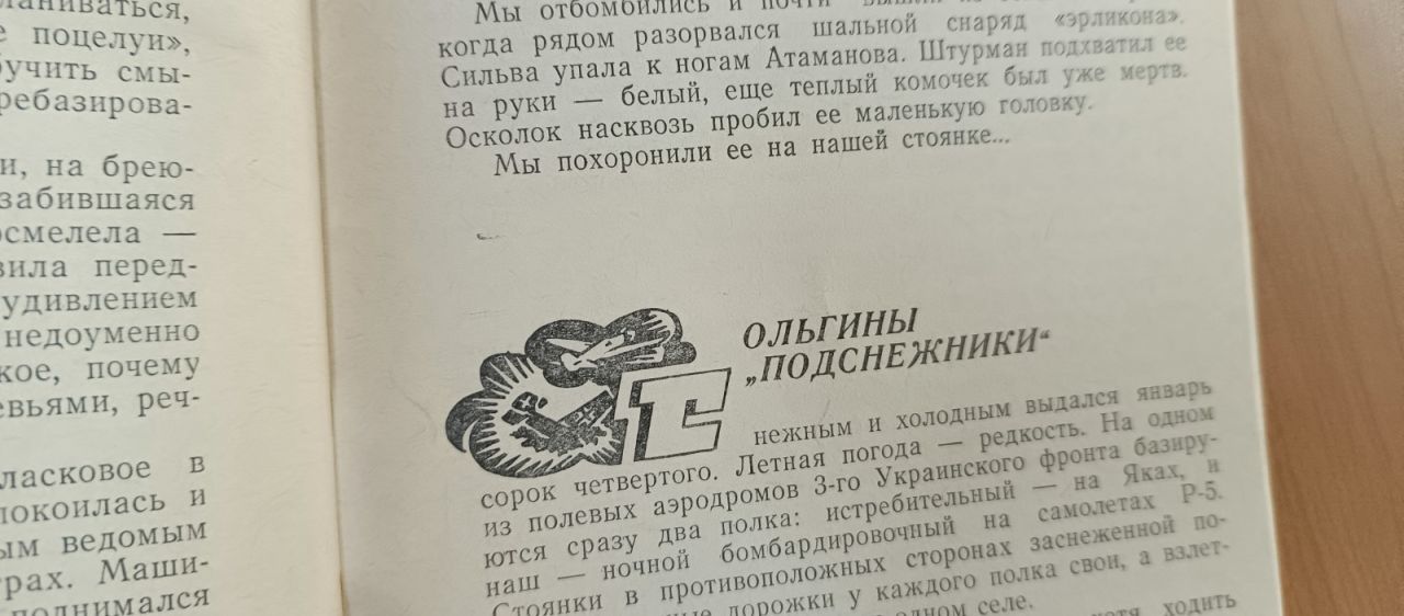 Ольгины «подснежники»: записки военного летчика из&nbsp;Хабаровска