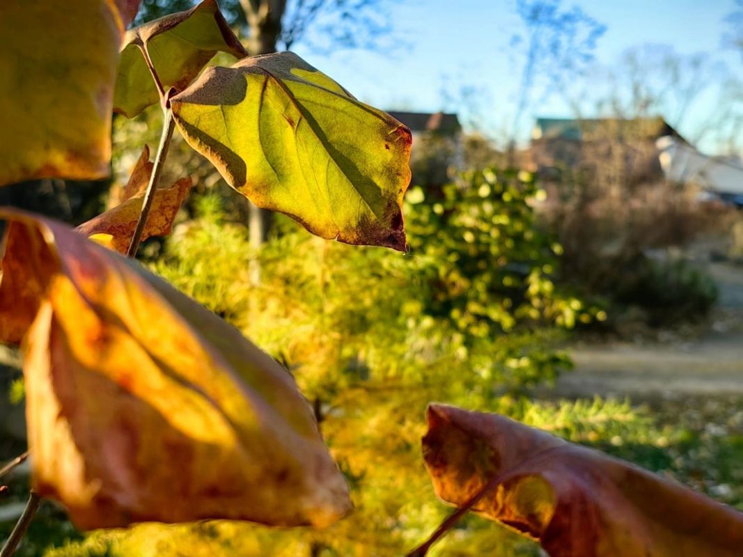 Советы хабаровчанам, как&nbsp;сохранить бодрый настрой в&nbsp;осенние будни