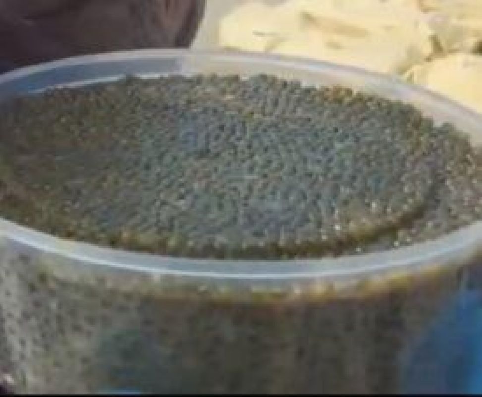 Житель Николаевска-на-Амуре осуждён за&nbsp;присвоение более 7 кг чёрной икры