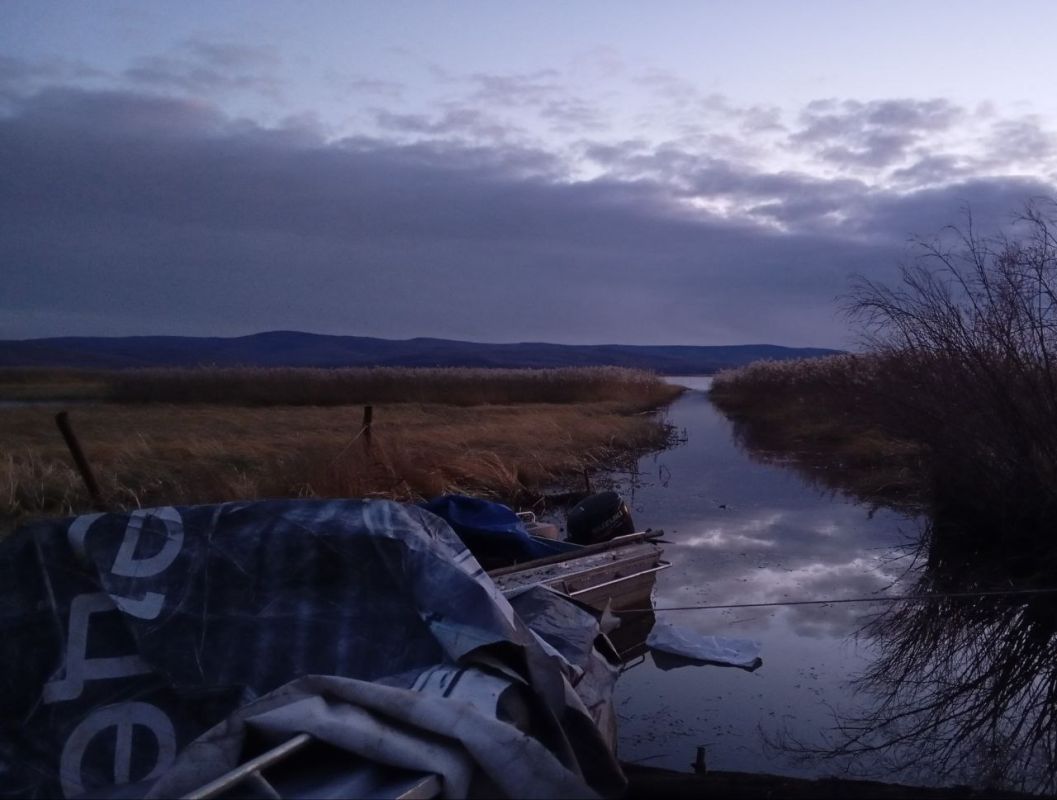 В Хабаровском крае правоохранители пресекли незаконный вылов краснокнижных рыб