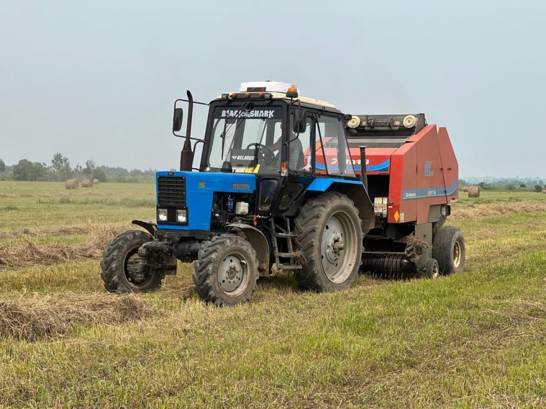 Дмитрий Демешин обсудил с&nbsp;главой Минсельхоза РФ развитие агропромышленного комплекса региона