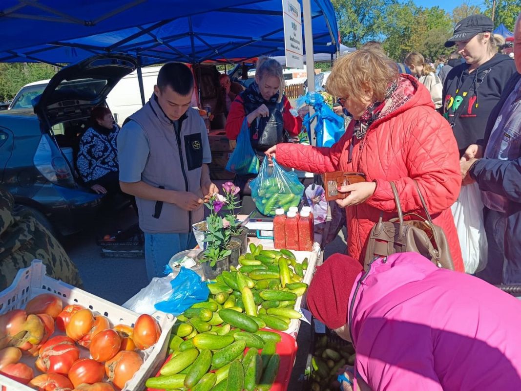 Рекордная капуста и&nbsp;картофель с&nbsp;Большого Уссурийского: как&nbsp;развивается сельское хозяйство в&nbsp;крае