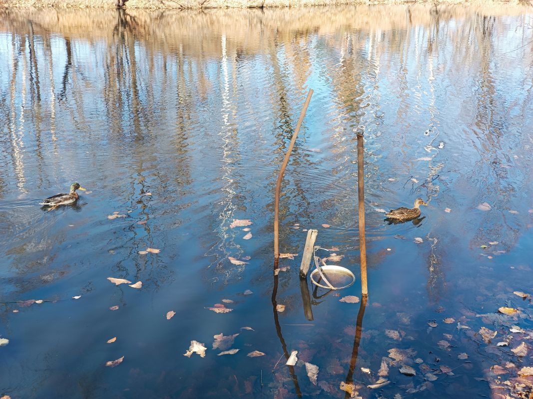 Прокурорская проверка выявила сброс неочищенных стоков в&nbsp;протоку Амурскую&nbsp;