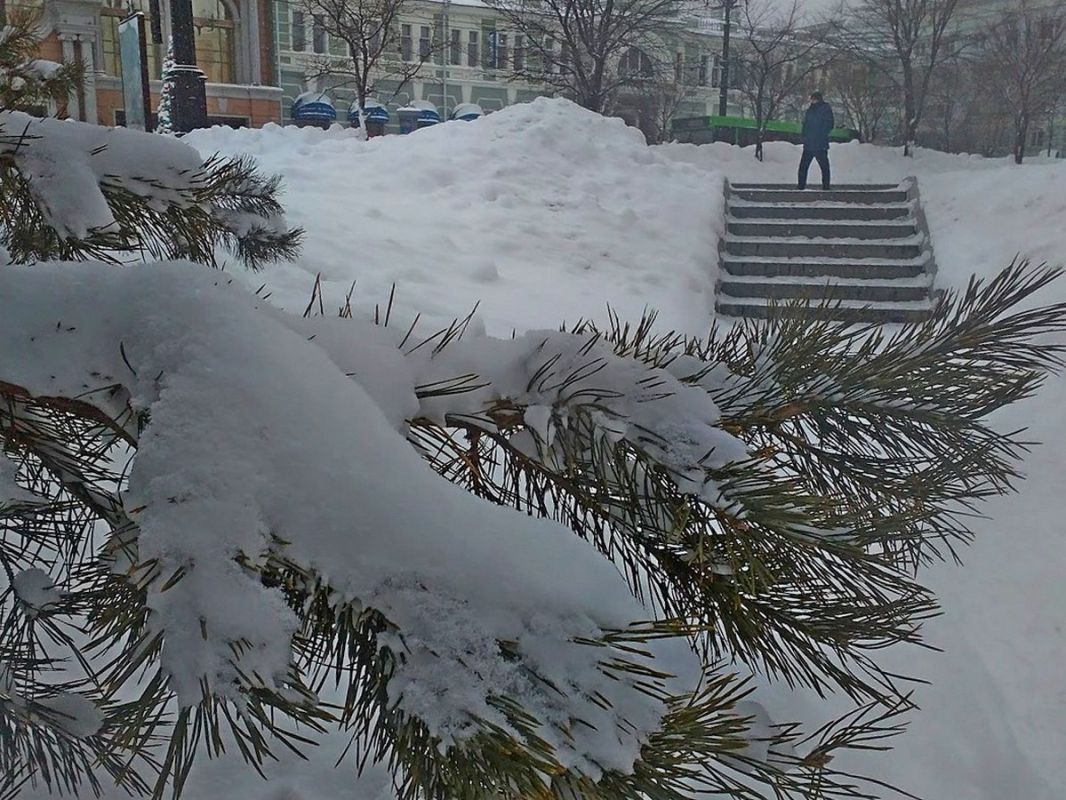 В ноябре вступают в&nbsp;силу новые законы