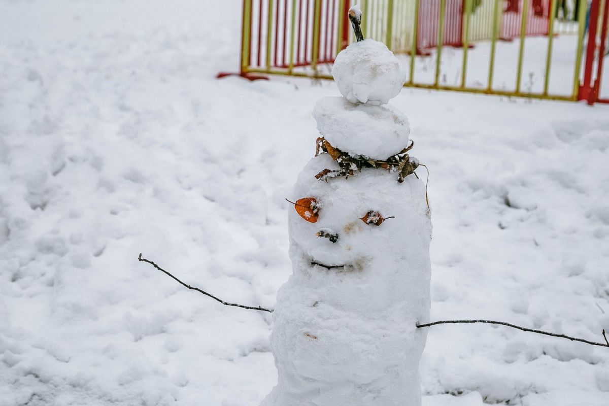 Снеговики, мороз и&nbsp;гололед: как&nbsp;выглядит Хабаровск под&nbsp;покровом белого одеяла