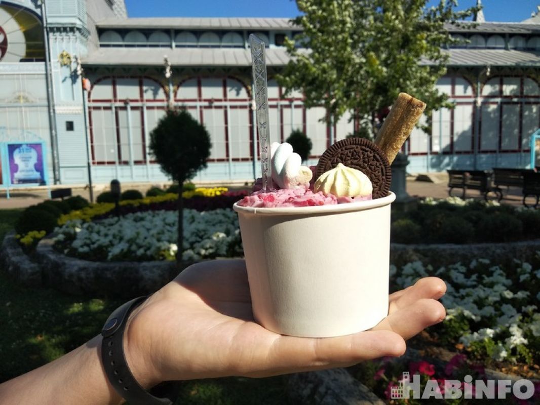 Бесплатный отдых детей участников СВО: что нужно знать хабаровчанам