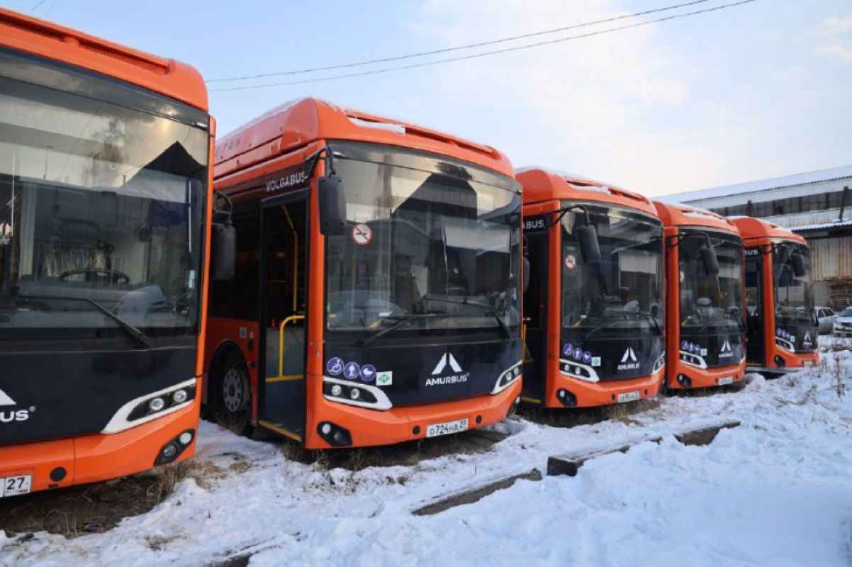 Губернатор Хабаровского края взял на&nbsp;контроль ситуацию с&nbsp;неиспользуемыми автобусами