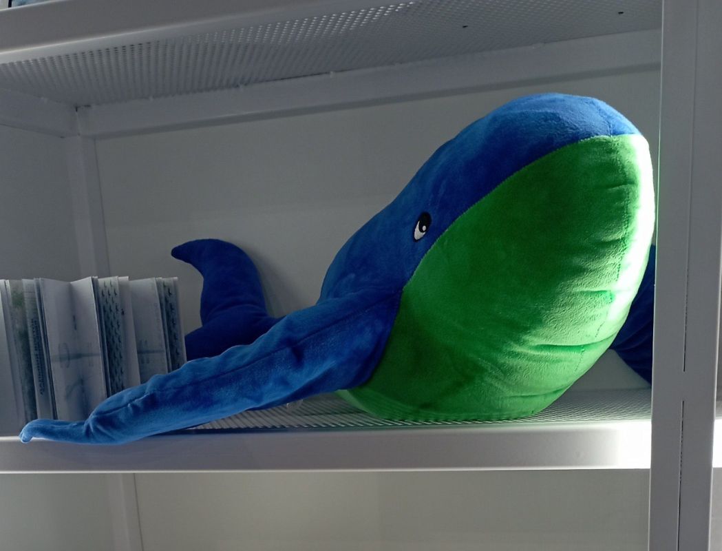 Как Хабаровский край наращивает свой гостевой потенциал