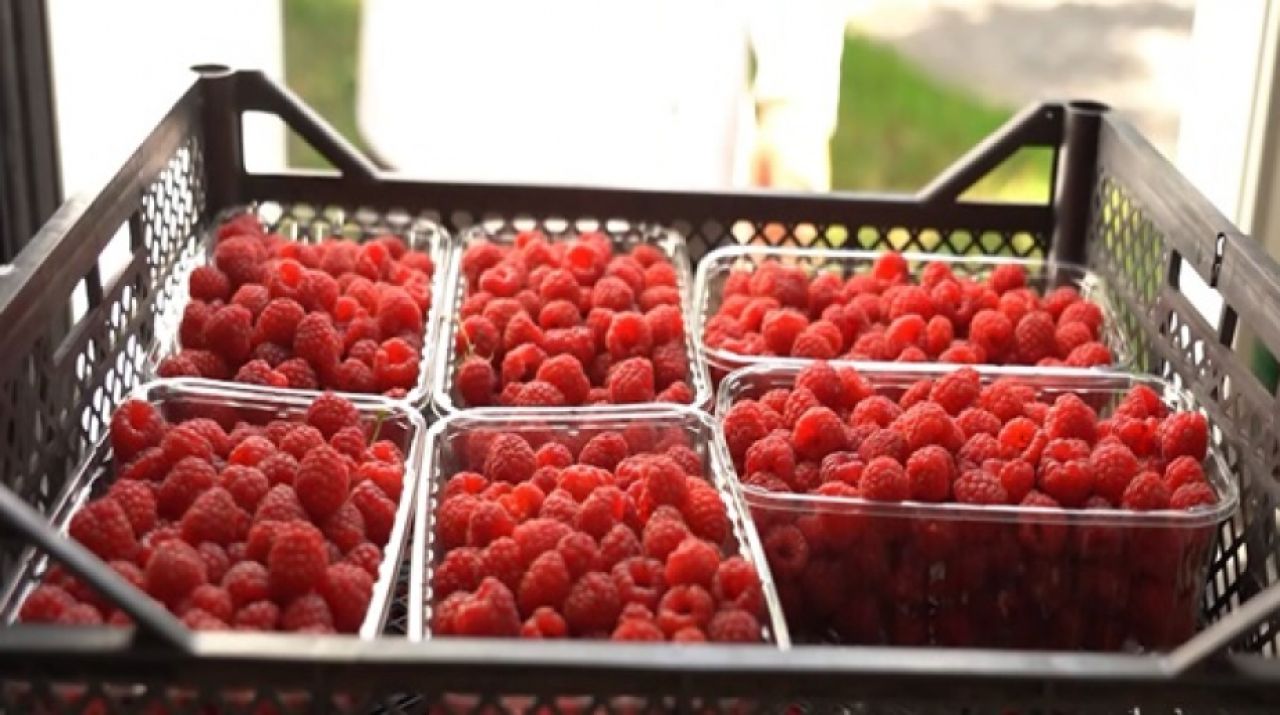 В Хабаровском крае тысячи семей получили свою землю под&nbsp;дом и&nbsp;бизнес