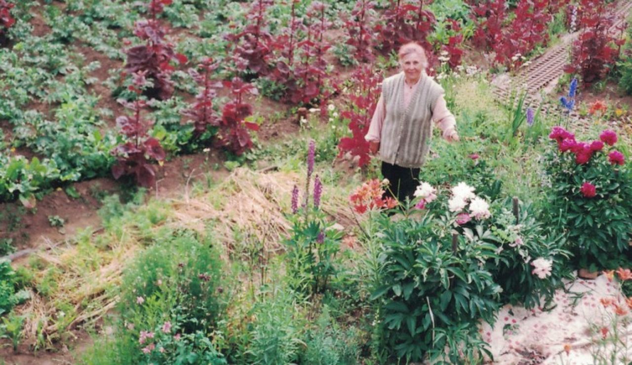 Раиса Тузова и её северный опыт выращивания овощей