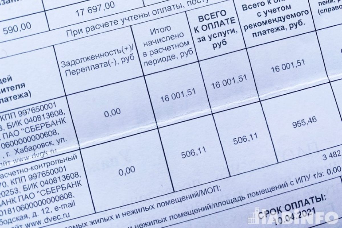 Хабаровчанам предлагают списать пени за&nbsp;свет и&nbsp;тепло