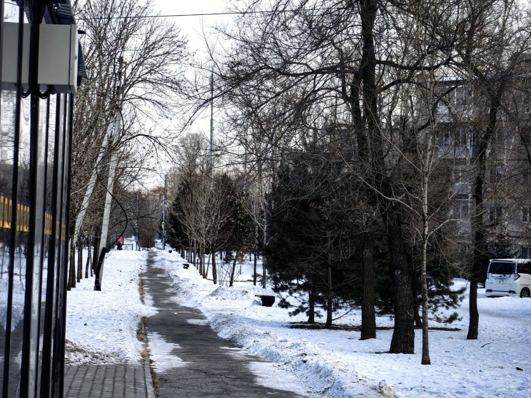 Магнитные бури, радиационный фон и&nbsp;пробки в&nbsp;Хабаровске 11 декабря