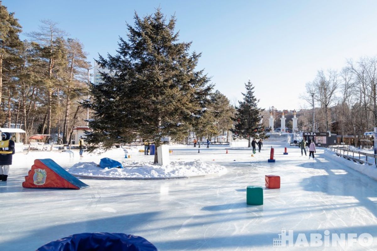 Спортивные мероприятия в&nbsp;Хабаровске: открытие «Народного катка» и&nbsp;беговые тренировки