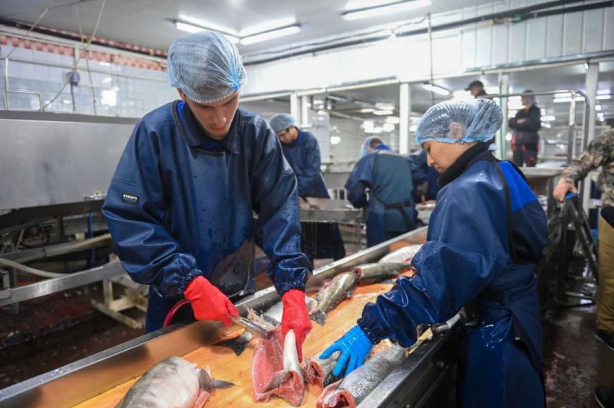 Кластер, заводы и&nbsp;инвесторы: каких проектов ждут от&nbsp;рыбной отрасли Хабаровского края