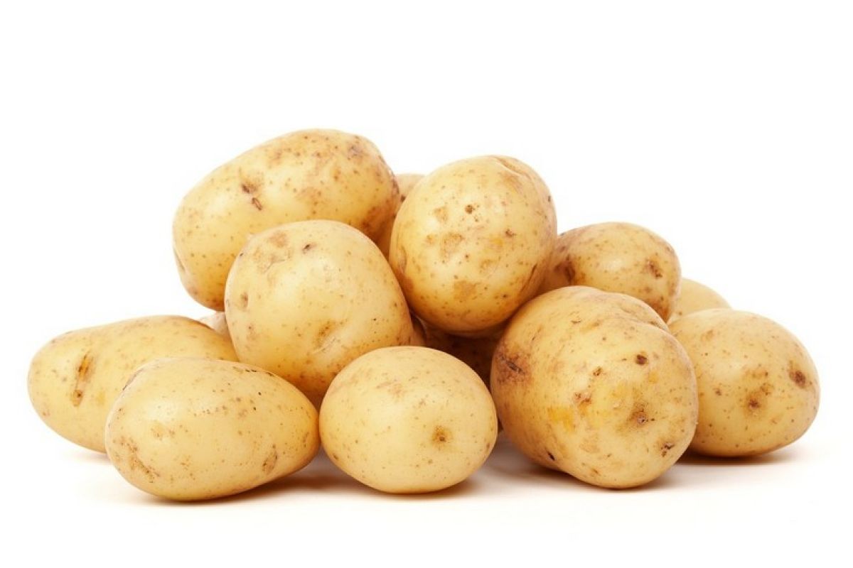 Новый дальневосточный сорт картофеля