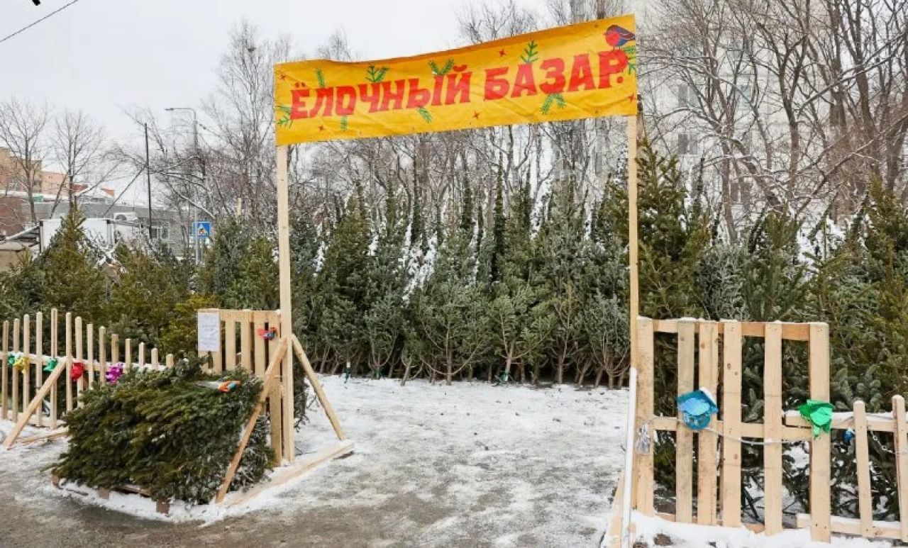 Елочные базары откроются в&nbsp;Хабаровске 20 декабря (СПИСОК МЕСТ)