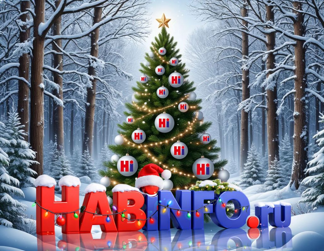 Редакция «Хабинфо» поздравляет читателей с&nbsp;Новым 2026-м годом!