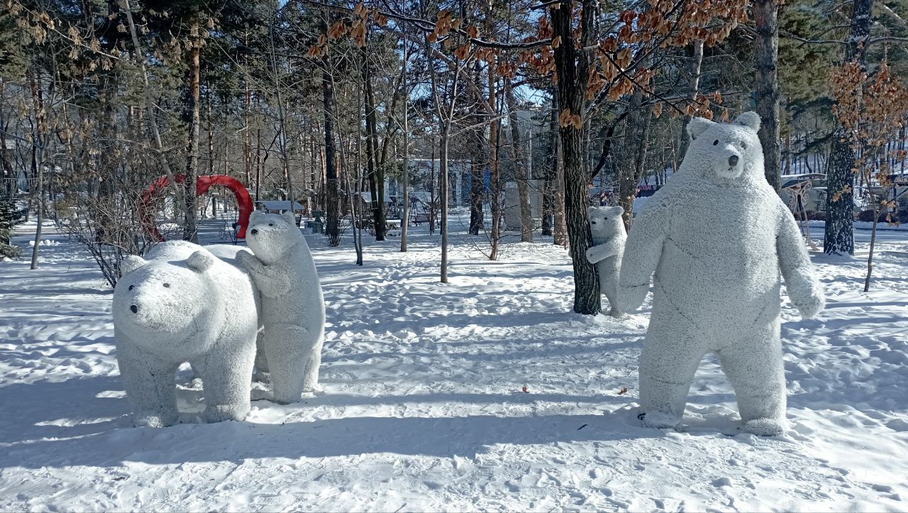 Магнитные бури, радиационный фон и&nbsp;пробки в&nbsp;Хабаровске 22 декабря